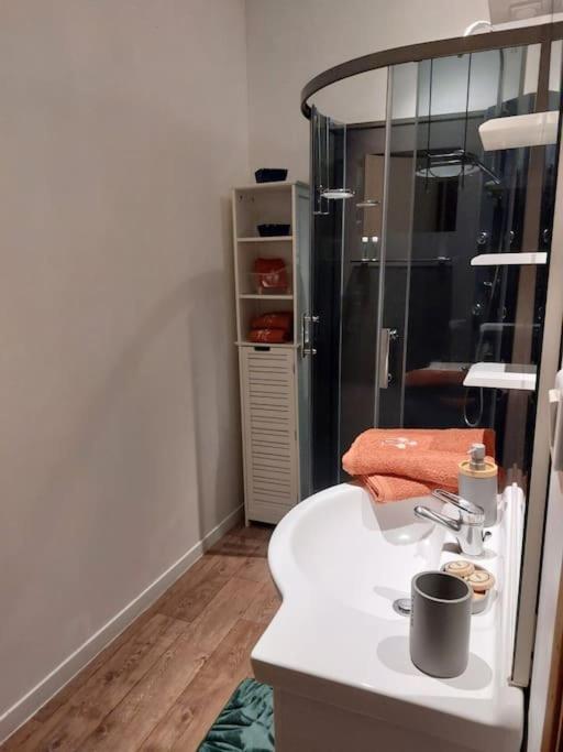 Appartement Proche Des Parcs Vichy Eksteriør bilde